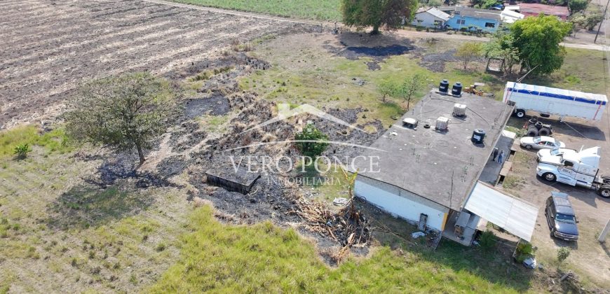Yanga, Veracruz / 3000 m2 / Terreno en Renta (2601-329)