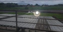 Aeropista / Casa en Renta (2601-352)