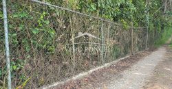 Pueblo de las Flores / 7362.25 m2 / Terreno en Venta (2625-353)