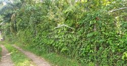 Pueblo de las Flores / 7362.25 m2 / Terreno en Venta (2625-353)