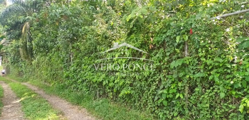 Pueblo de las Flores / 7362.25 m2 / Terreno en Venta (2625-353)