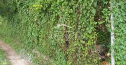 Pueblo de las Flores / 7362.25 m2 / Terreno en Venta (2625-353)