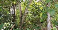 Pueblo de las Flores / 7362.25 m2 / Terreno en Venta (2625-353)