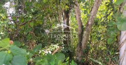 Pueblo de las Flores / 7362.25 m2 / Terreno en Venta (2625-353)