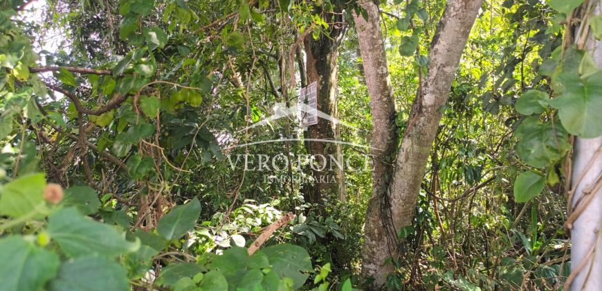 Pueblo de las Flores / 7362.25 m2 / Terreno en Venta (2625-353)