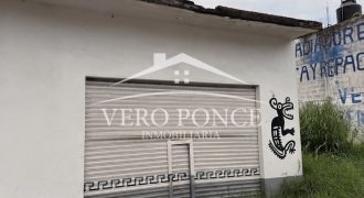 Central de Abastos 2000 / 48 m2 / Local en Renta (2628-360)