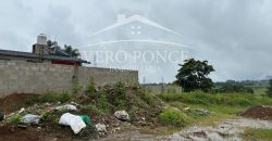 Coscomatepec, Veracruz / 1250 m2 / Terreno en Venta (2601-381)