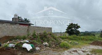 Coscomatepec, Veracruz / 1250 m2 / Terreno en Venta (2601-381)