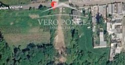 Coscomatepec, Veracruz / 1250 m2 / Terreno en Venta (2601-381)