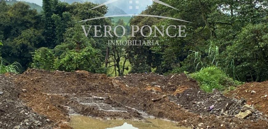 Coscomatepec, Veracruz / 1250 m2 / Terreno en Venta (2601-381)