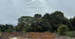 Coscomatepec, Veracruz / 1250 m2 / Terreno en Venta (2601-381)