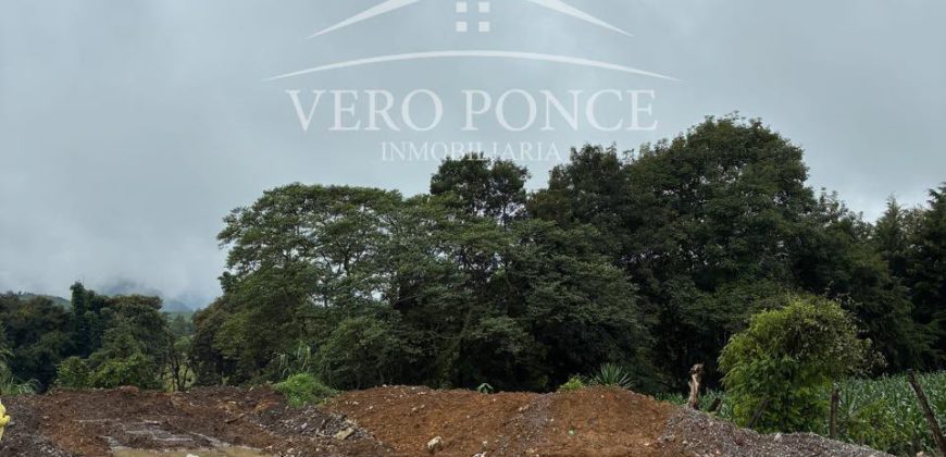 Coscomatepec, Veracruz / 1250 m2 / Terreno en Venta (2601-381)