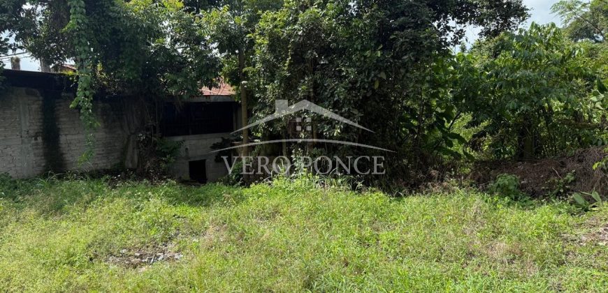 Peñuela, Veracruz / 4370 m2 / Bodega en Venta (2629-383)