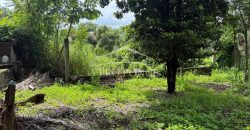 Peñuela, Veracruz / 4370 m2 / Bodega en Venta (2629-383)