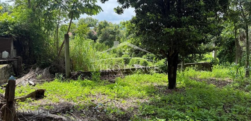 Peñuela, Veracruz / 4370 m2 / Bodega en Venta (2629-383)