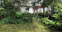 Peñuela, Veracruz / 4370 m2 / Bodega en Venta (2629-383)