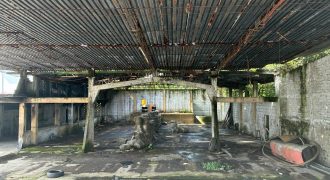 Peñuela, Veracruz / 4370 m2 / Bodega en Venta (2629-383)